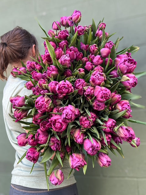 Tulip Bulbs-Blue Diamond - Sunny Meadows Flower Farm