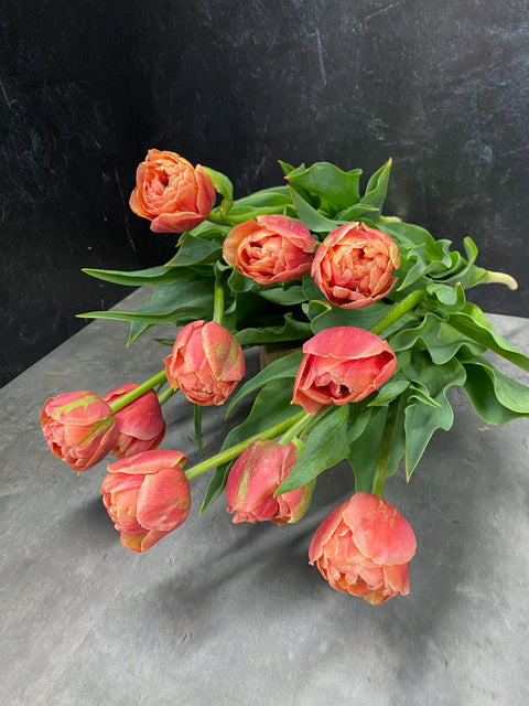 Tulip Bulbs-Copper Image - Sunny Meadows Flower Farm