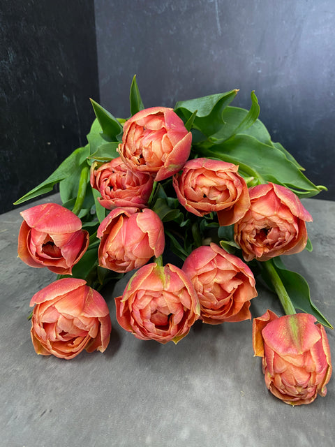 Tulip Bulbs-Copper Image - Sunny Meadows Flower Farm