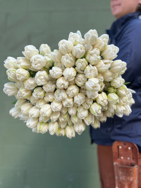 Tulip-Mount Tacoma - Sunny Meadows Flower Farm