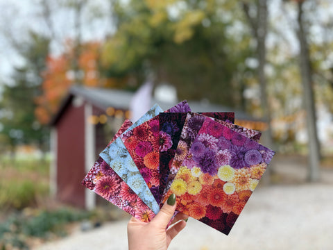 Dahlia Post Cards - Sunny Meadows Flower Farm