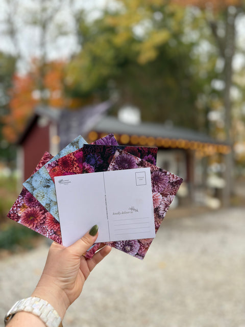 Dahlia Post Cards - Sunny Meadows Flower Farm
