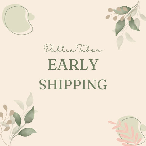 Early Shipping - Sunny Meadows Flower Farm