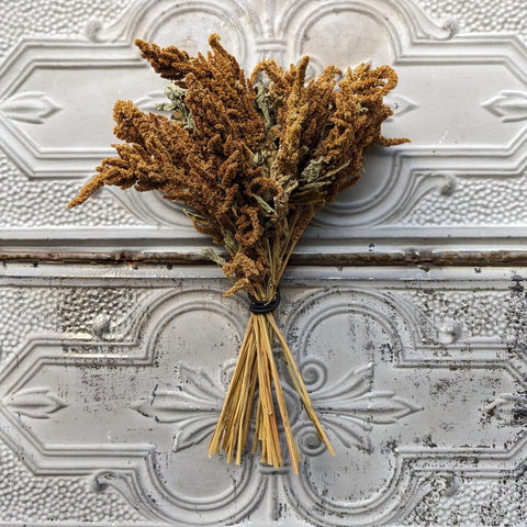 Dried Foliage Bunch-Amaranth Tan - Sunny Meadows Flower Farm