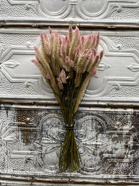 Dried Flower Bunch-Celosia Flamingo Feather - Sunny Meadows Flower Farm