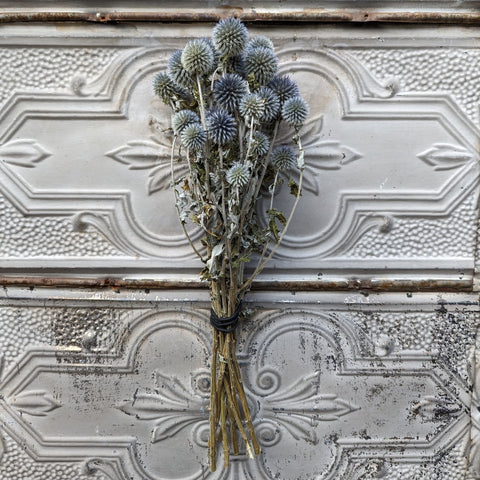 Dried Flower Bunch-Echinops - Sunny Meadows Flower Farm