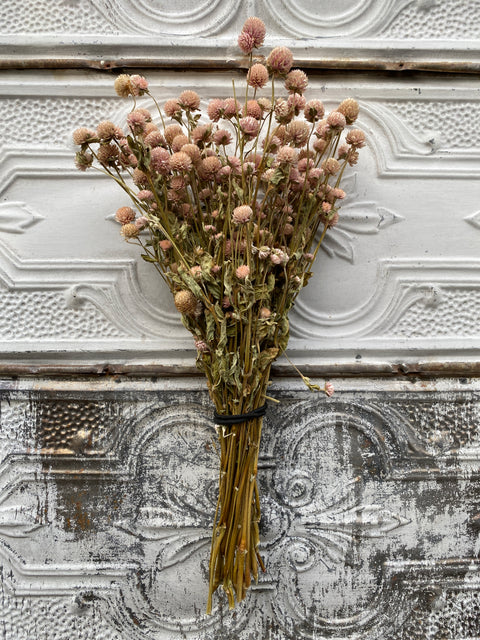 Dried Flower Bunch-Gomphrena Blush - Sunny Meadows Flower Farm