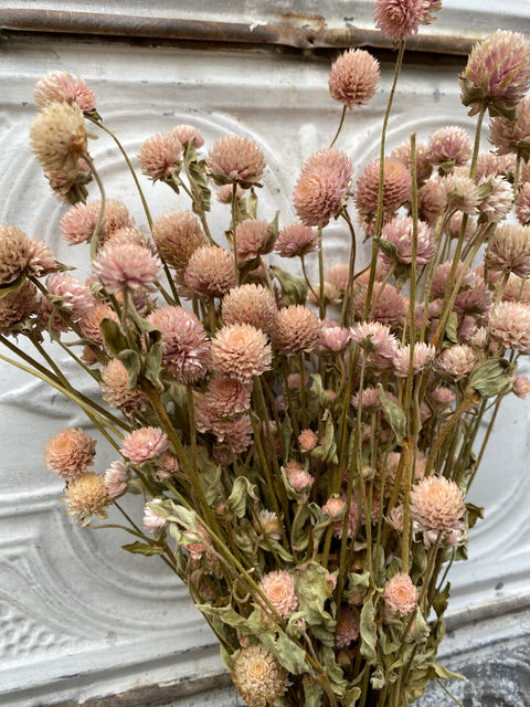 Dried Flower Bunch-Gomphrena Blush - Sunny Meadows Flower Farm