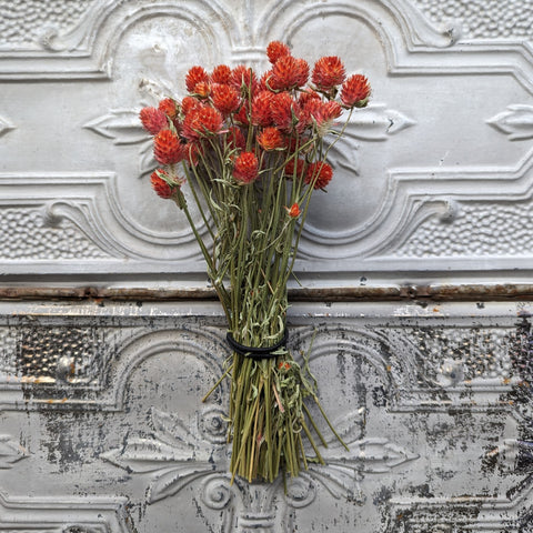Dried Flower Bunch-Gomphrena Orange - Sunny Meadows Flower Farm