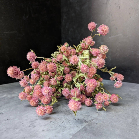 Dried Flower Bunch-Gomphrena Pink - Sunny Meadows Flower Farm
