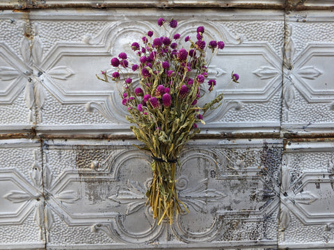 Dried Flower Bunch-Gomphrena Purple - Sunny Meadows Flower Farm