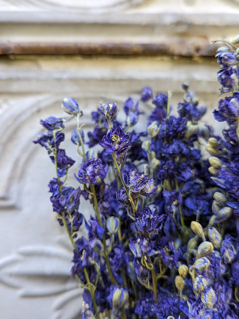 Dried Flower Bunch-Larkspur Purple - Sunny Meadows Flower Farm