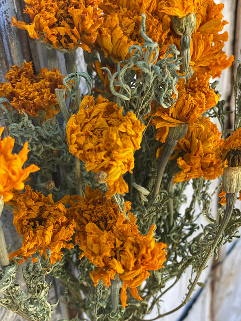 Dried Flower Bunch-Marigold Gold - Sunny Meadows Flower Farm