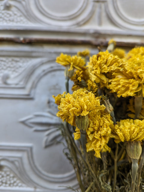 Dried Flower Bunch-Marigold Yellow - Sunny Meadows Flower Farm