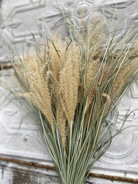 Dried Grasses-Miscanthus Plumes - Sunny Meadows Flower Farm