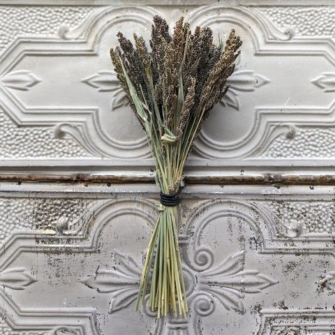 Dried Grasses-Tapestry Millet - Sunny Meadows Flower Farm