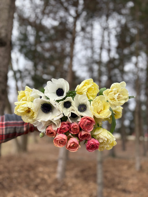 Spring at Your Door - Sunny Meadows Flower Farm