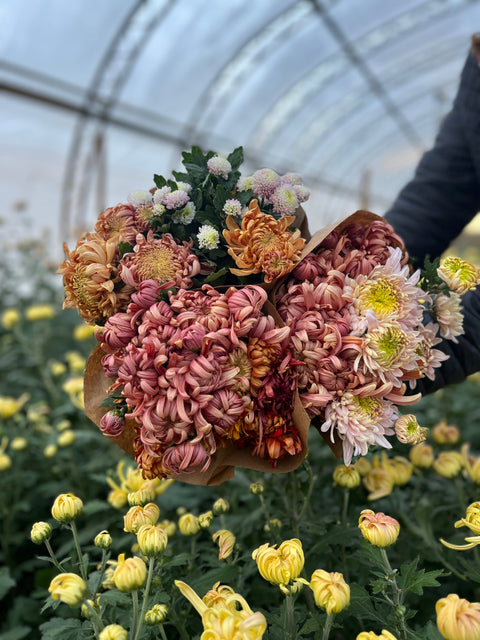 Heirloom Mums at Your Door - Sunny Meadows Flower Farm