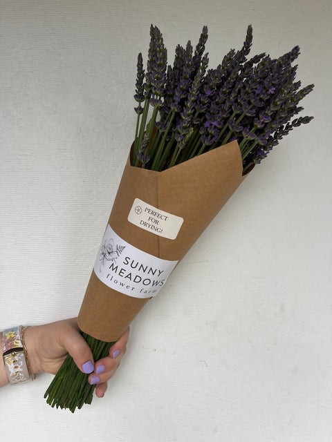 Fresh Lavender Box - Sunny Meadows Flower Farm