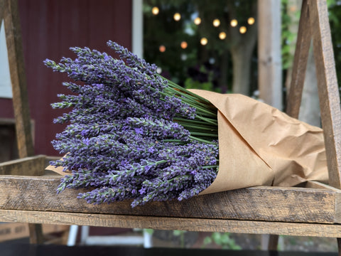 Fresh Lavender Box - Sunny Meadows Flower Farm
