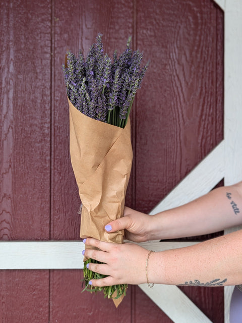 Fresh Lavender Box - Sunny Meadows Flower Farm